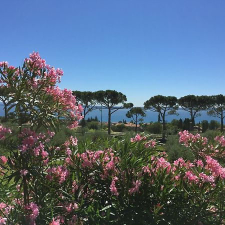 Agriturismo Nonna Bettina Moniga del Garda Luaran gambar