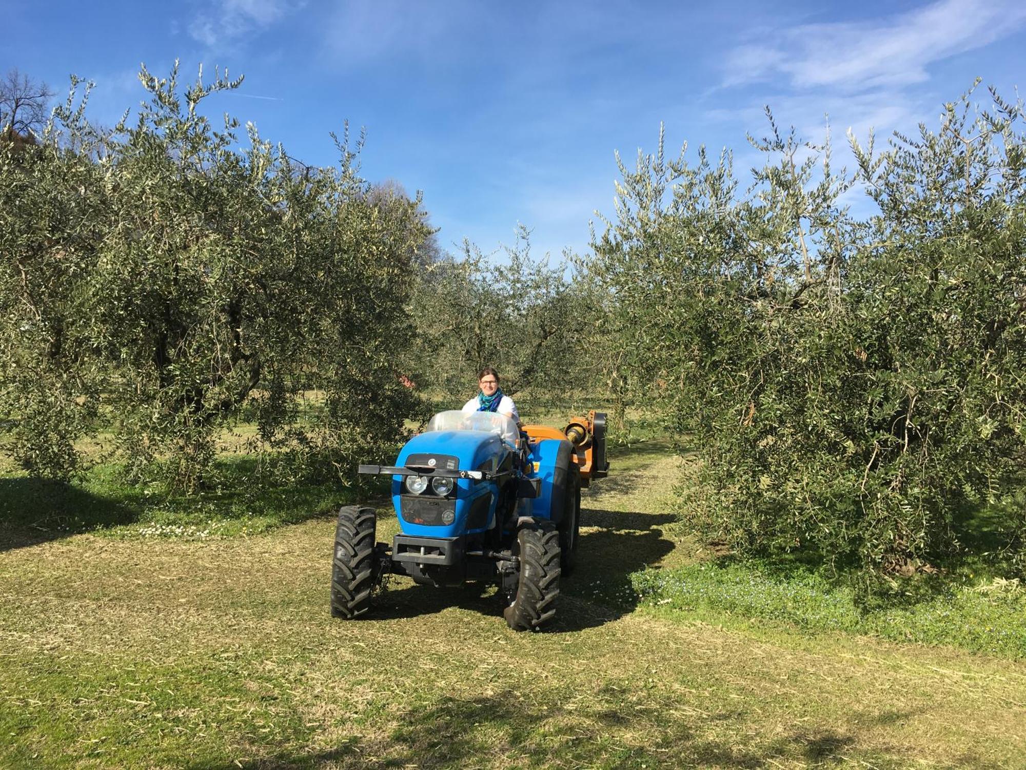 Agriturismo Nonna Bettina Moniga del Garda Luaran gambar