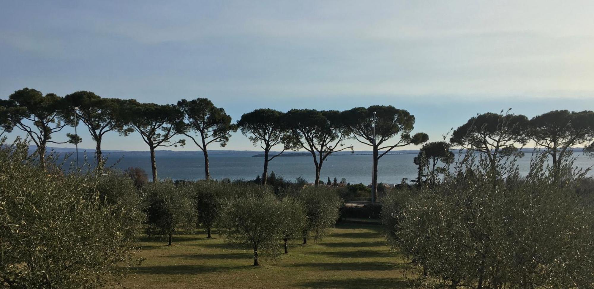 Agriturismo Nonna Bettina Moniga del Garda Luaran gambar
