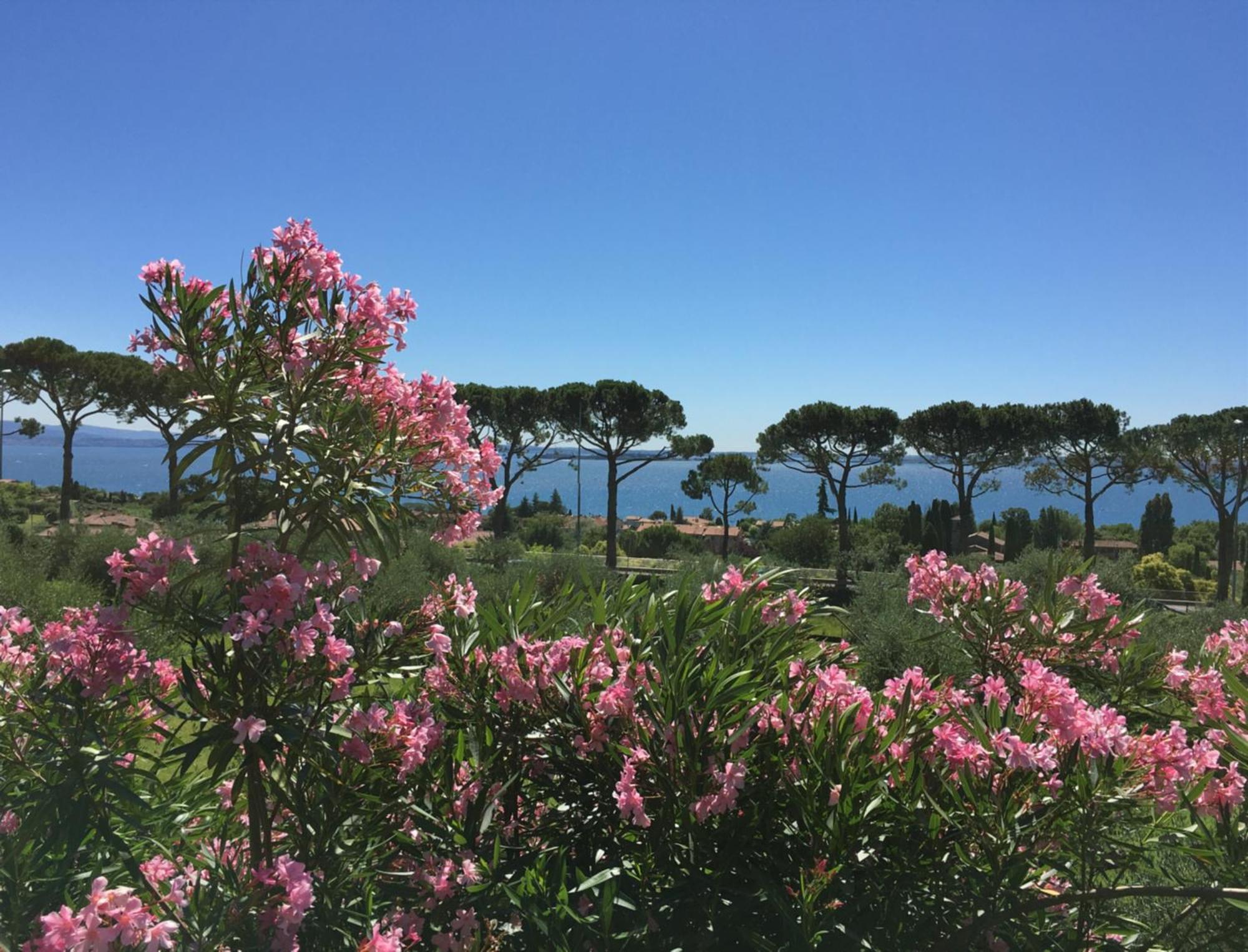 Agriturismo Nonna Bettina Moniga del Garda Luaran gambar